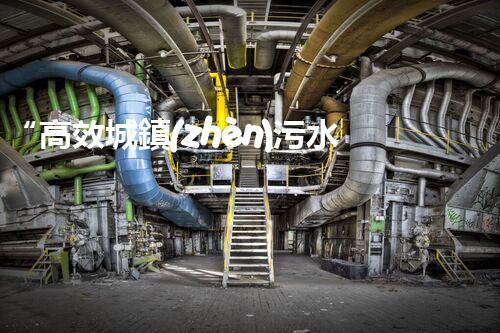 “高效城鎮(zhèn)污水處理流程，守護(hù)碧水藍(lán)天新篇章”